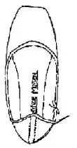 top view of point shoe